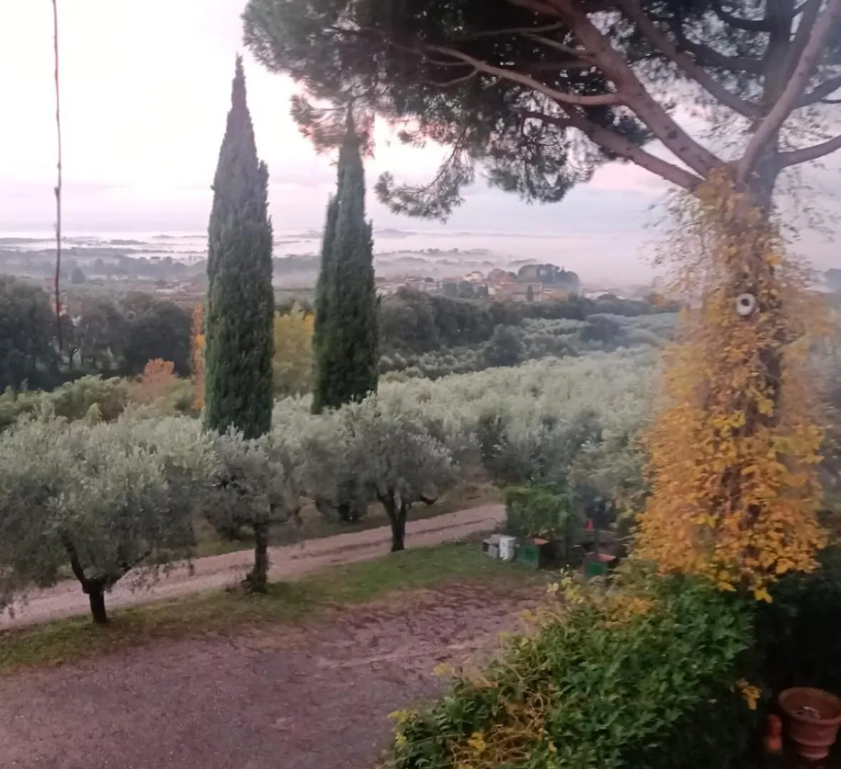 Agriturismo Coco 兰波雷基奥